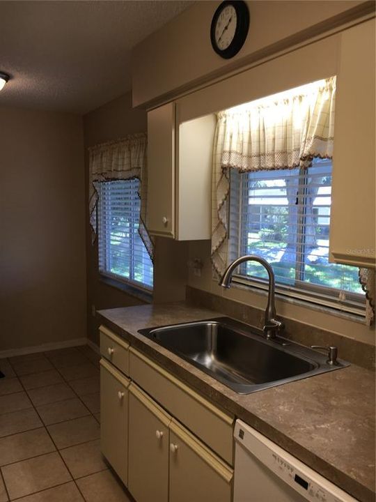 Kitchen showing New Sink and Faucet