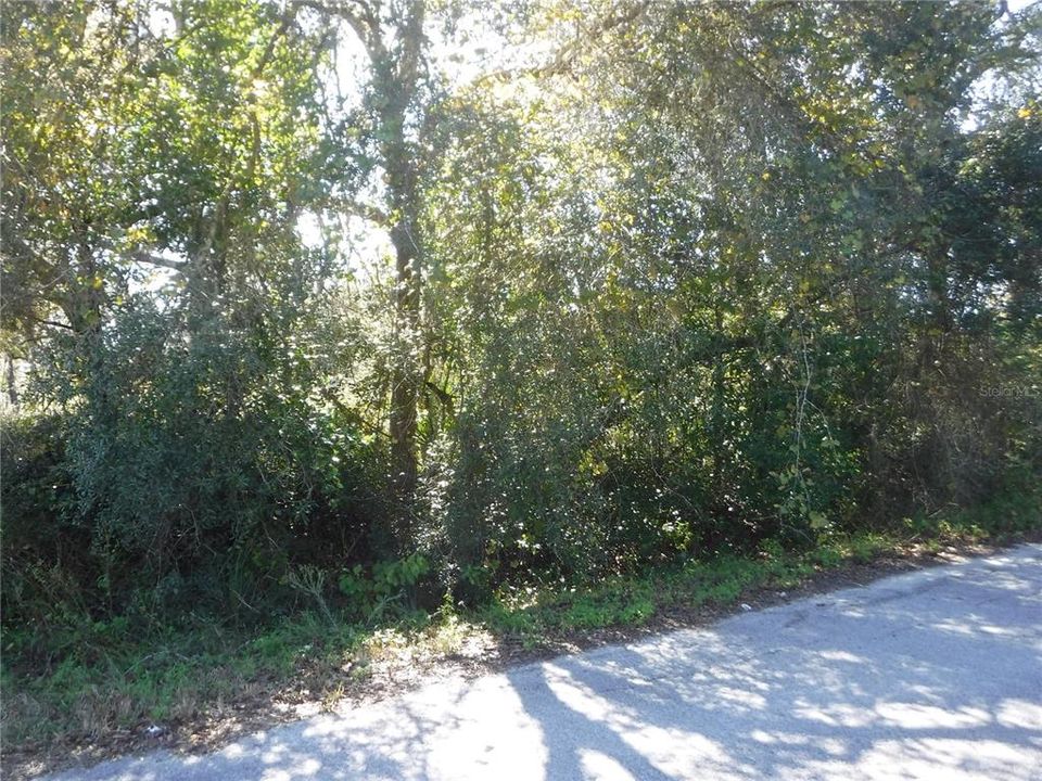 Recently Sold: $14,000 (0.54 acres)