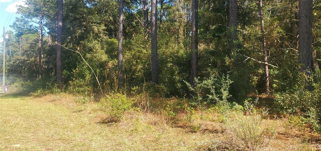 Recently Sold: $39,990 (1.52 acres)