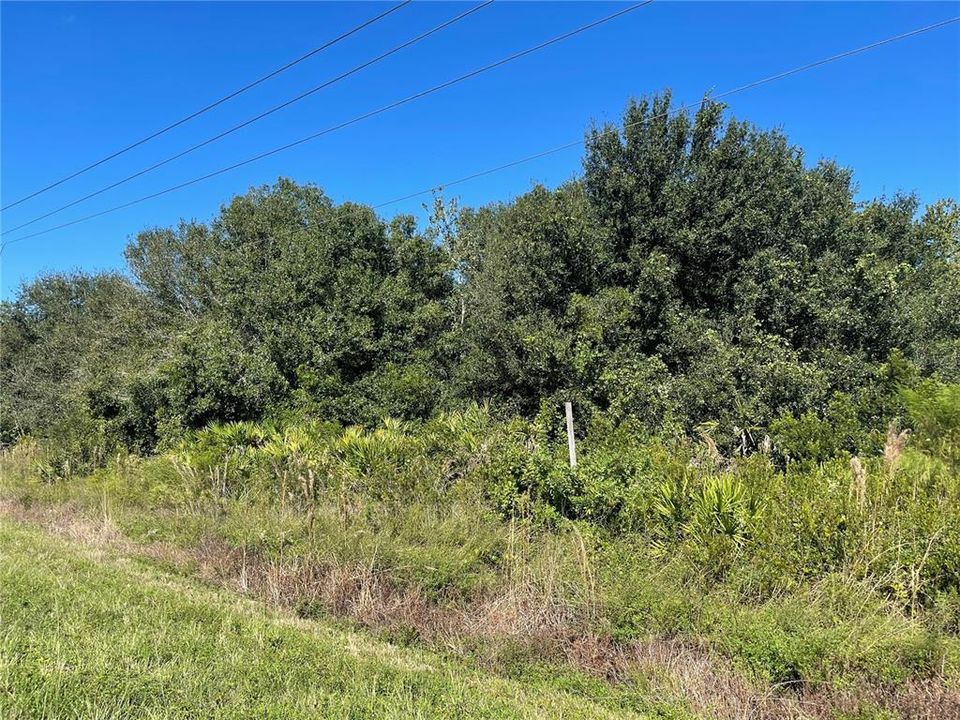 Vendido Recientemente: $8,900 (0.27 acres)