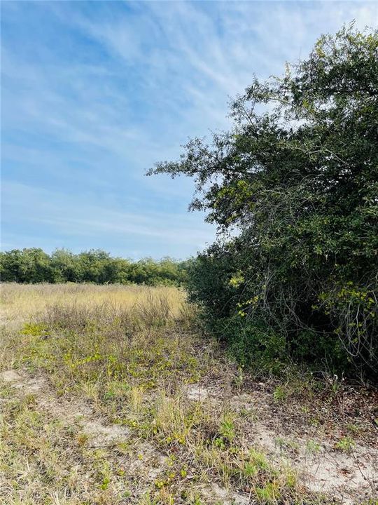 Recently Sold: $36,500 (3.02 acres)