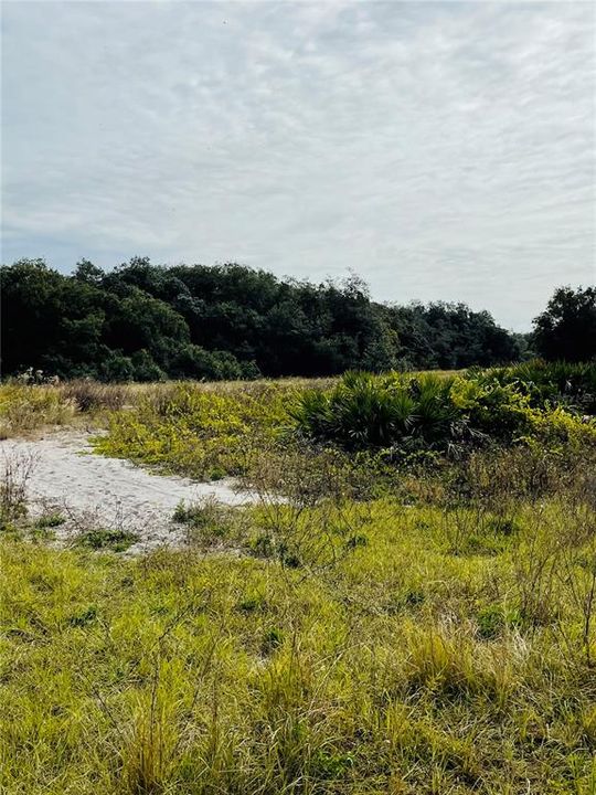 Recently Sold: $36,500 (3.02 acres)