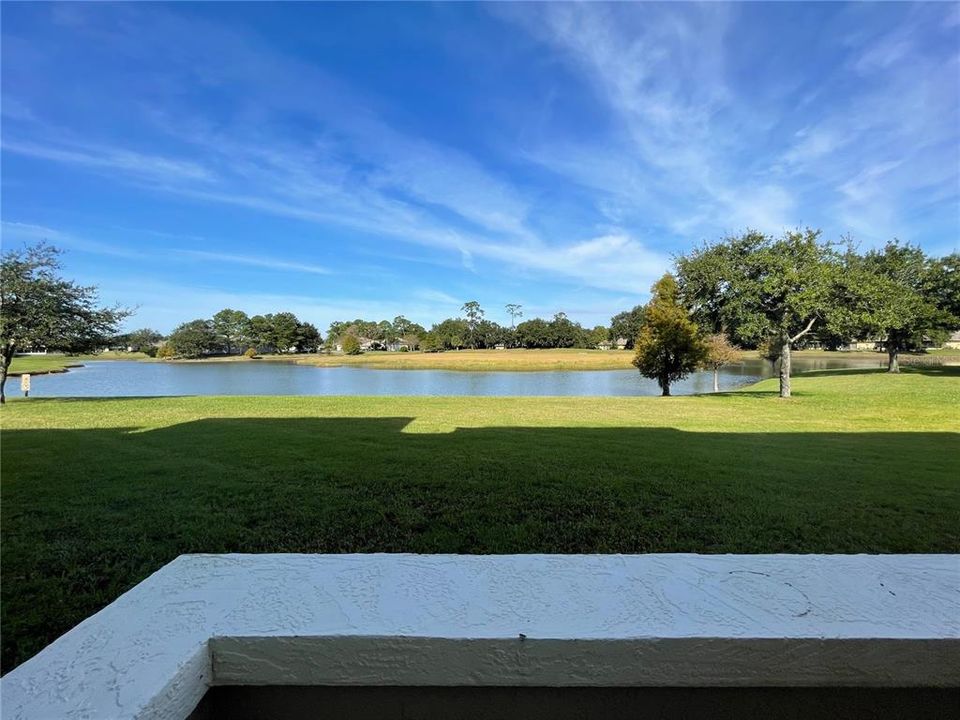 pond view from patio