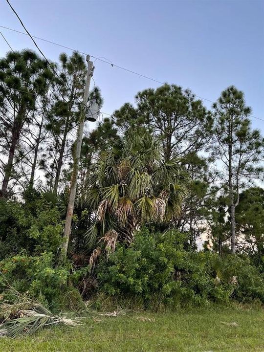 Недавно продано: $30,000 (0.53 acres)