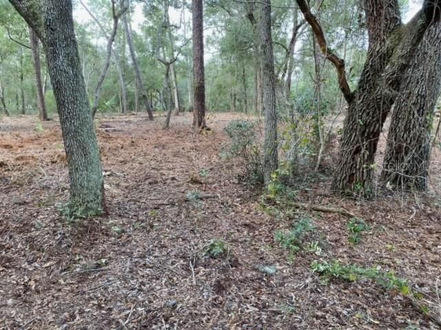 Recently Sold: $105,000 (2.58 acres)