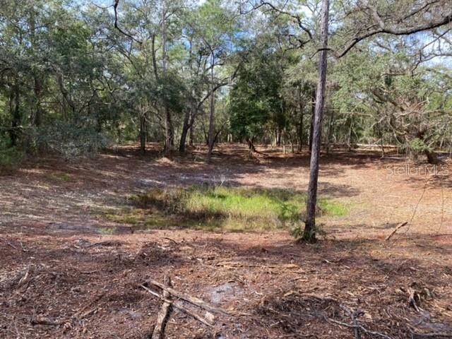 Recently Sold: $105,000 (2.58 acres)