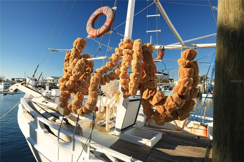 World famous sponge docks located on the Anclote River in Tarpon Springs