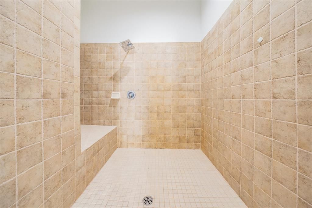 In-Law Suite Bathroom Walk-in shower