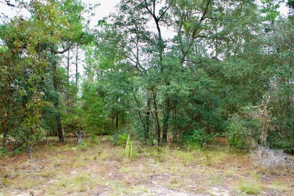 Recently Sold: $24,000 (2.18 acres)