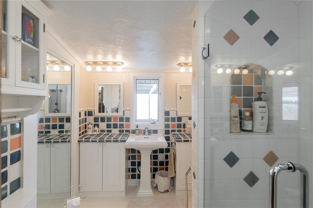 Unique Second Floor Guest Bath with Shower