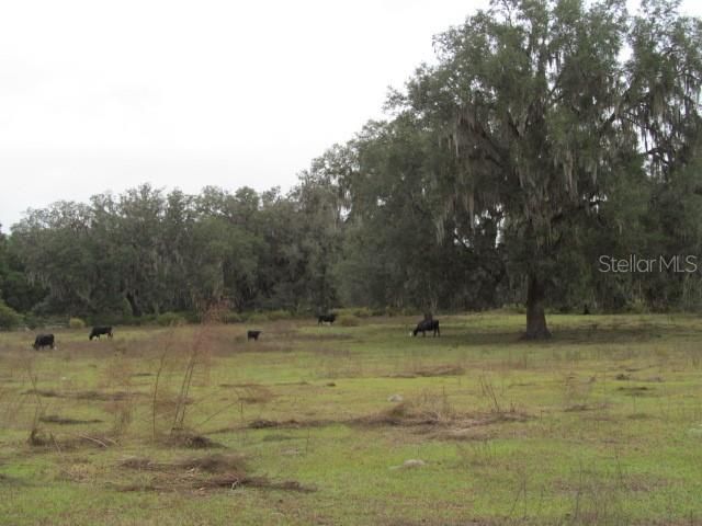Recently Sold: $350,000 (34.84 acres)