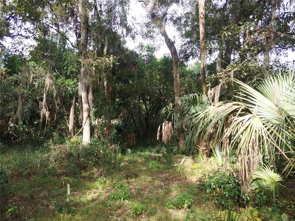 Recently Sold: $20,000 (11.02 acres)