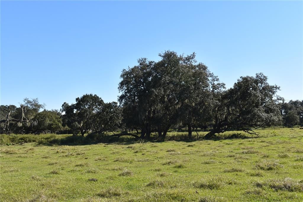 Recently Sold: $775,000 (70.51 acres)