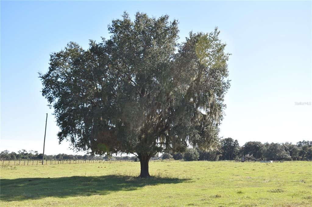 Recently Sold: $775,000 (70.51 acres)