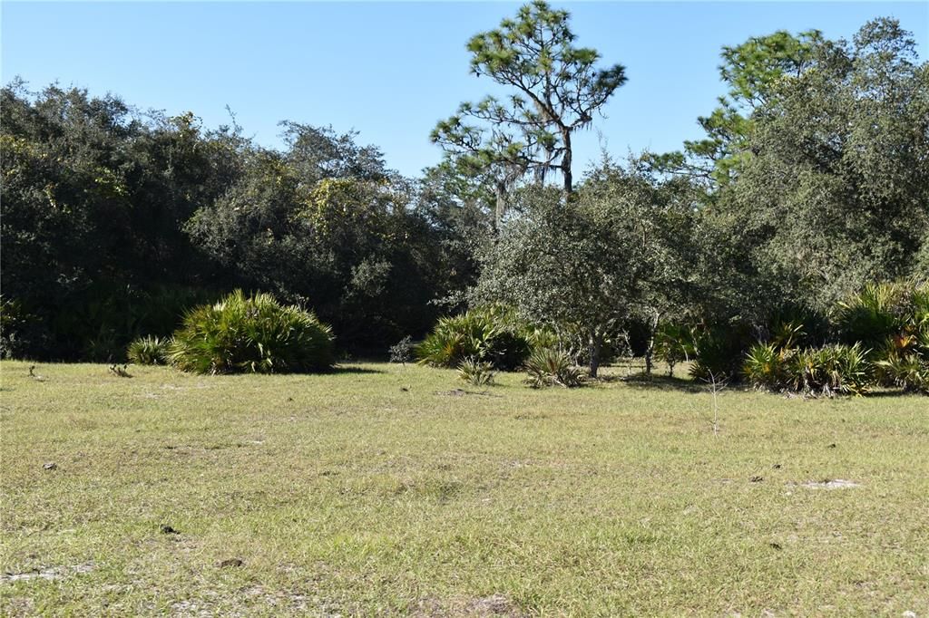 Recently Sold: $775,000 (70.51 acres)