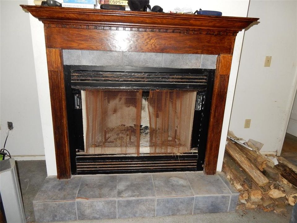 Fireplace in Living Room