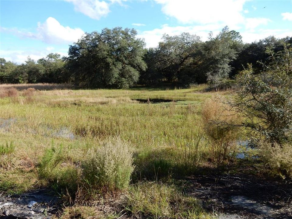 Front pond