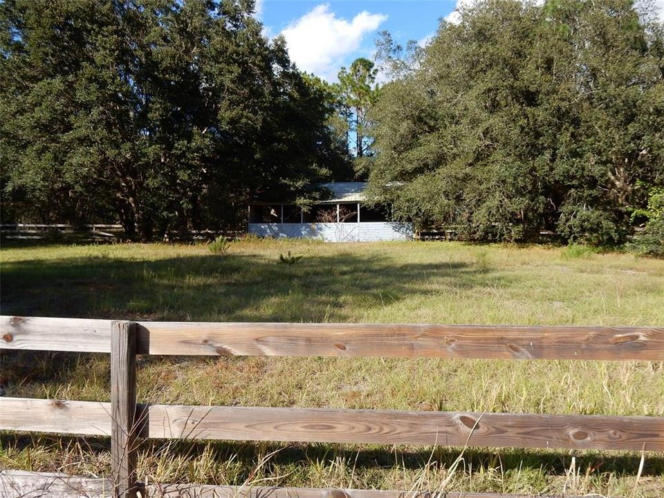 Paddock at Barn