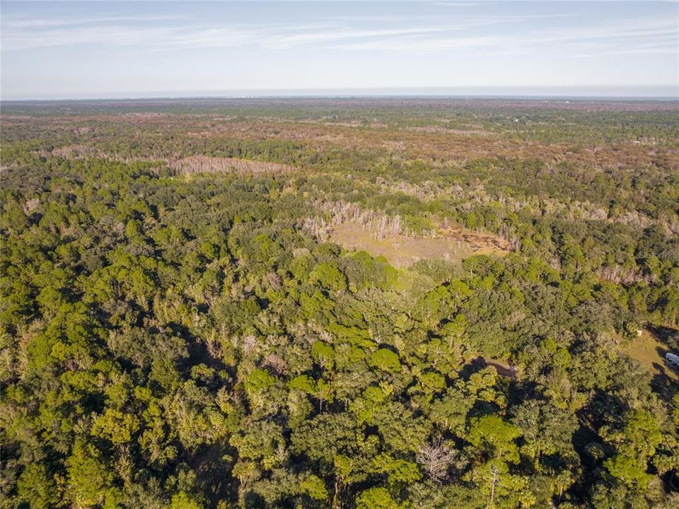 На продажу: $58,000 (2.50 acres)