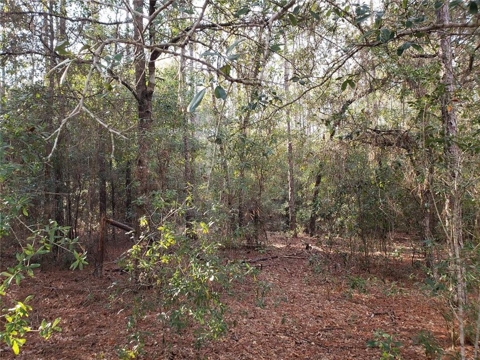 Recently Sold: $37,000 (1.01 acres)