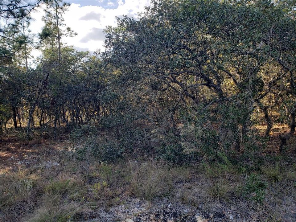 Vendido Recientemente: $37,000 (1.01 acres)