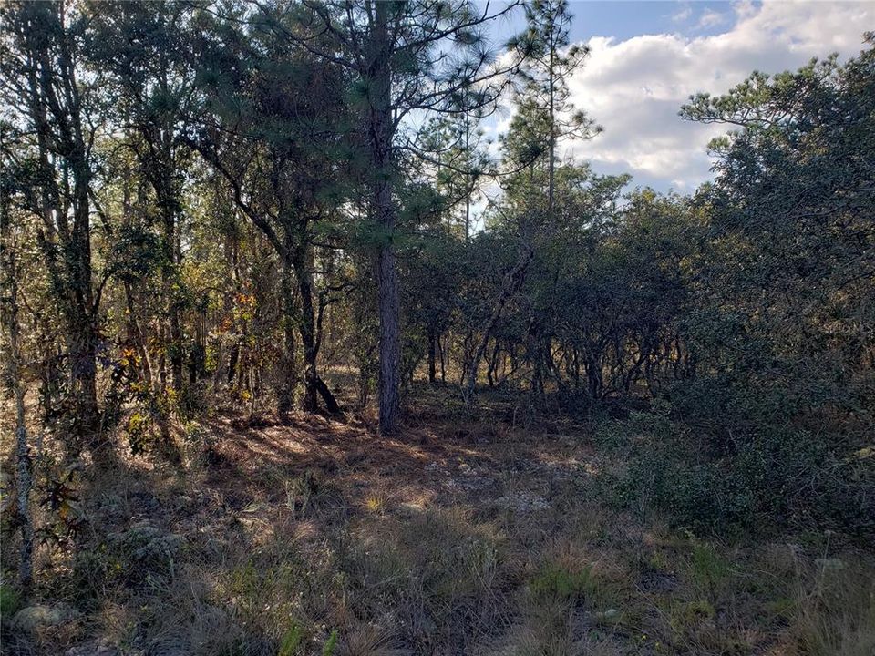 Vendido Recientemente: $37,000 (1.01 acres)