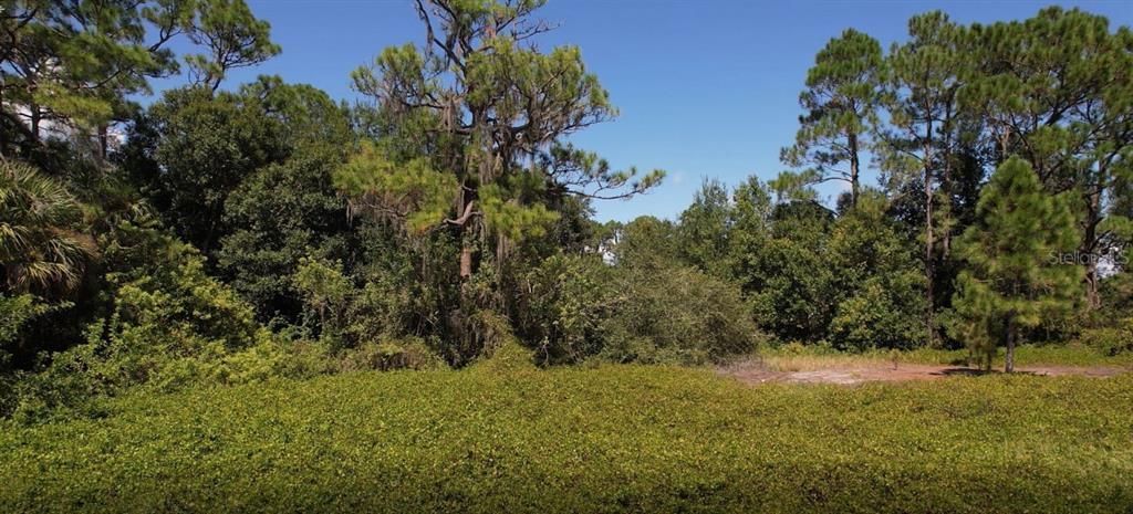 Recently Sold: $45,500 (0.23 acres)