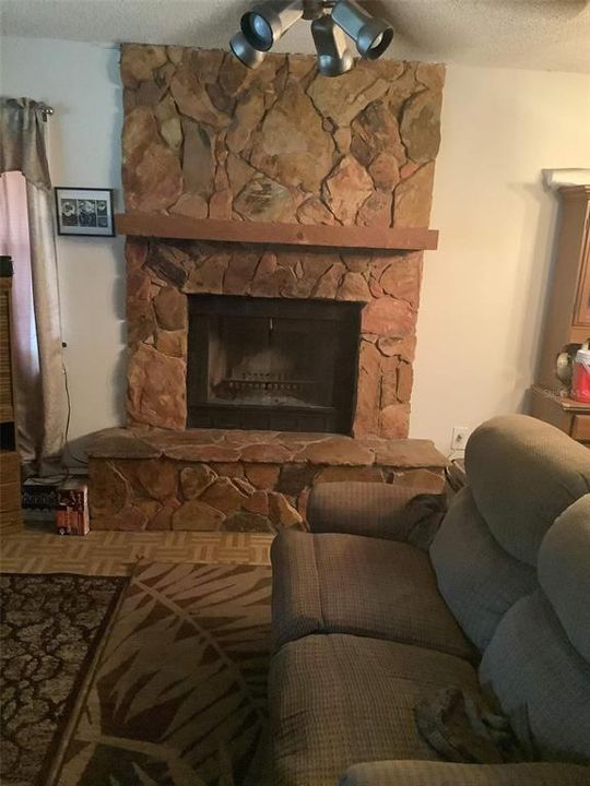 Fireplace in Living room