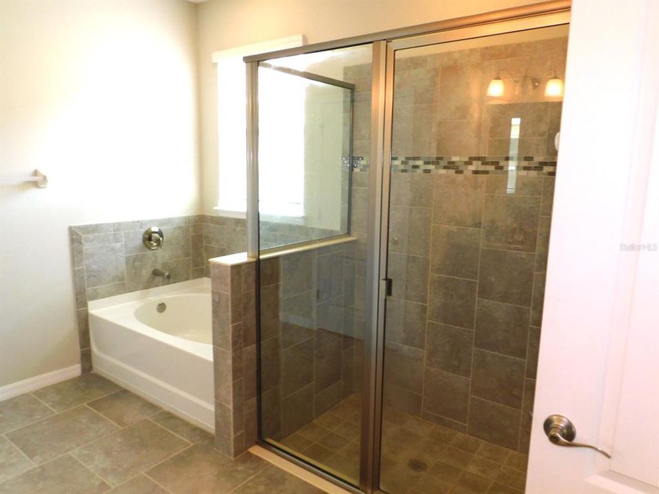 MASTER BATHROOM LARGE SHOWER AND BAT TUB