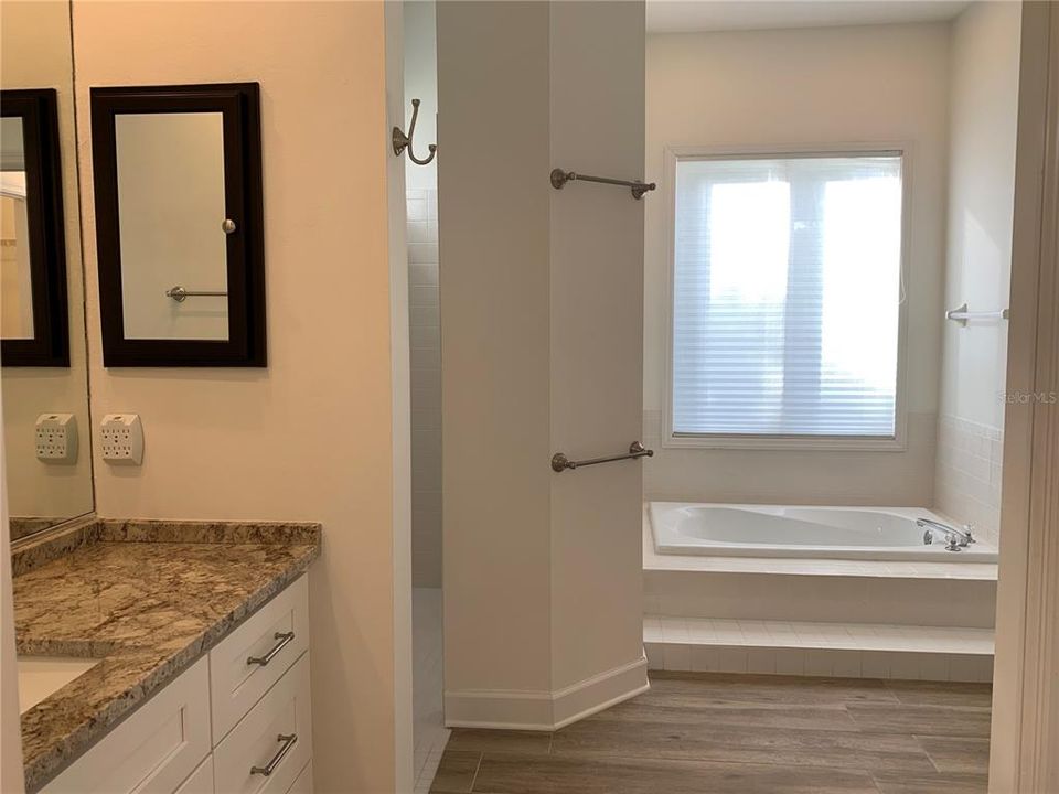 Master bathroom