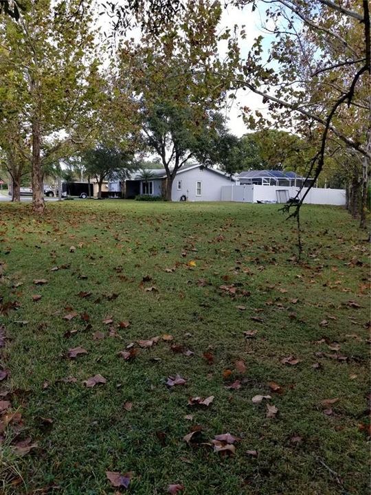 This view of house from back of side yard shows the enormous size of the open space that could be used for family functions or games