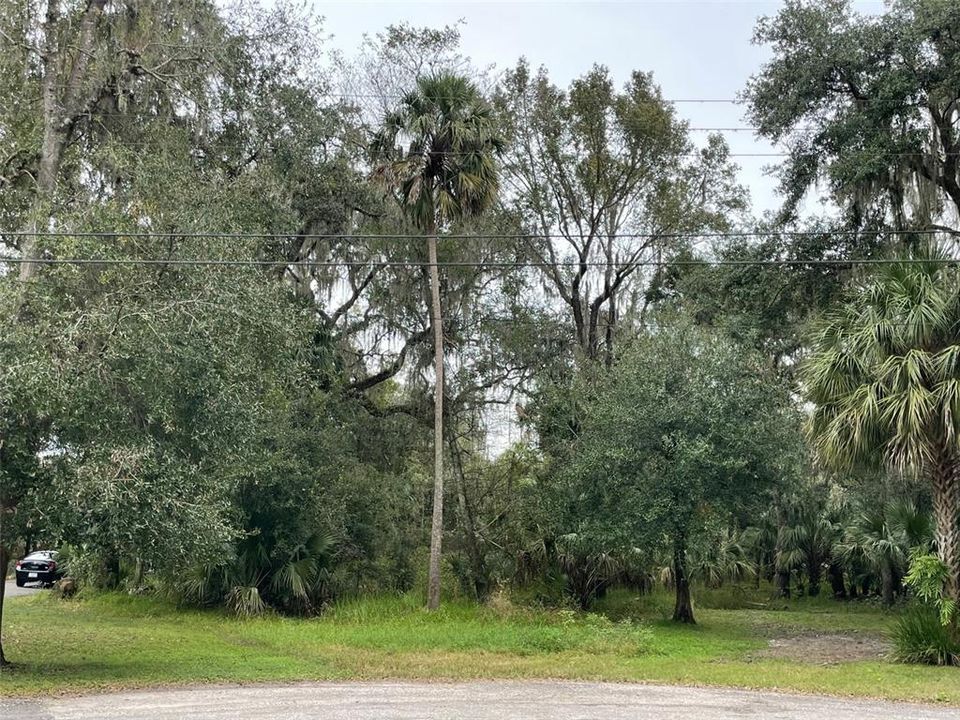 Recently Sold: $70,000 (0.41 acres)