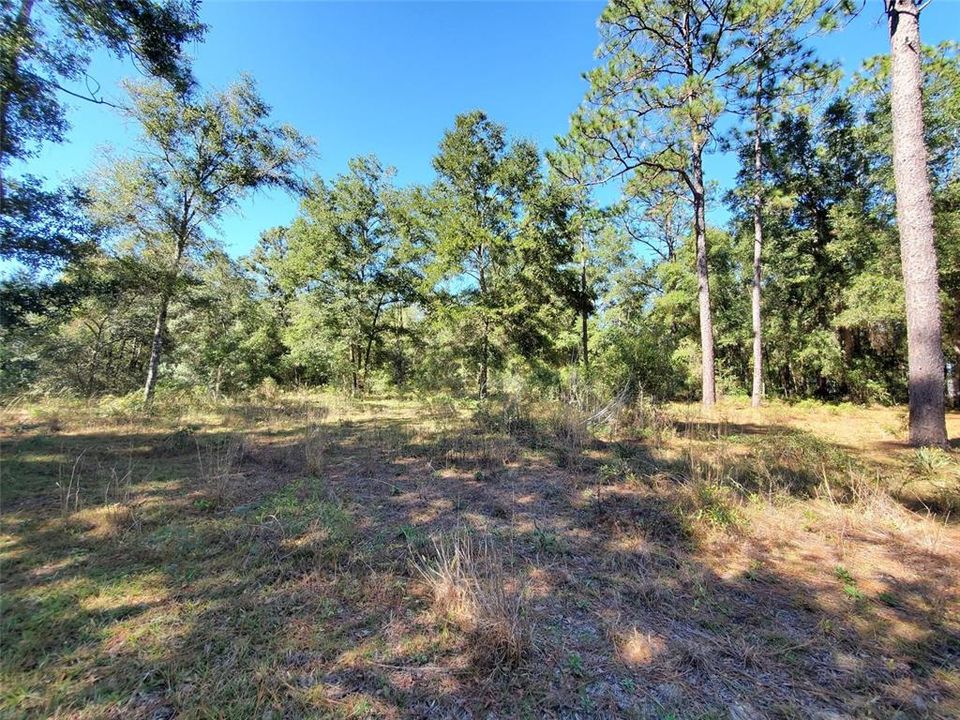 Recently Sold: $7,000 (0.48 acres)