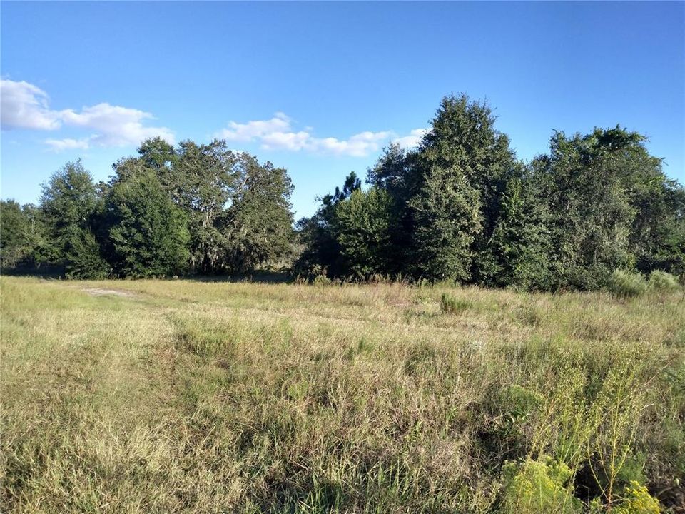 Recently Sold: $35,000 (0.96 acres)