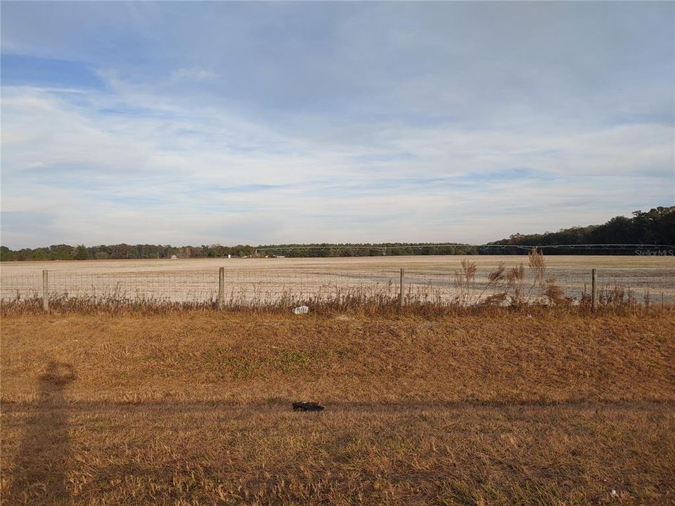Recently Sold: $101,000 (5.30 acres)