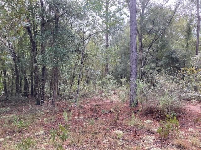 Recently Sold: $117,600 (9.85 acres)