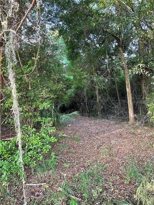 最近售出: $160,000 (0.86 acres)