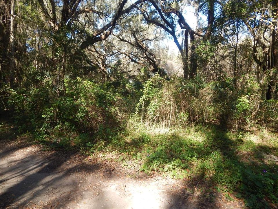 Recently Sold: $22,900 (1.00 acres)