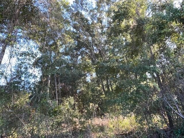 Recently Sold: $42,000 (2.04 acres)