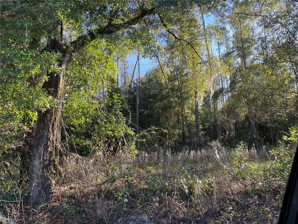 Recently Sold: $42,000 (2.04 acres)