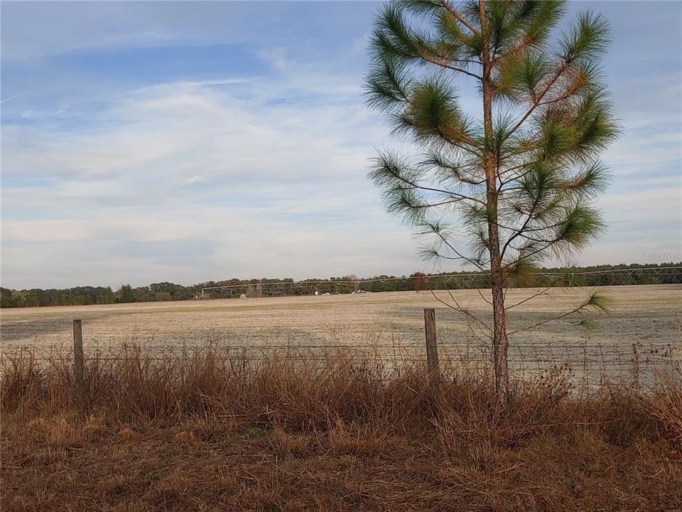 Recently Sold: $119,000 (5.95 acres)