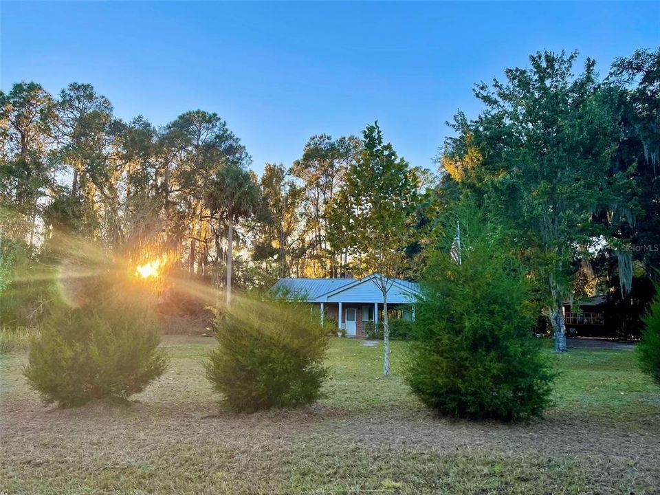 Large Front Yard