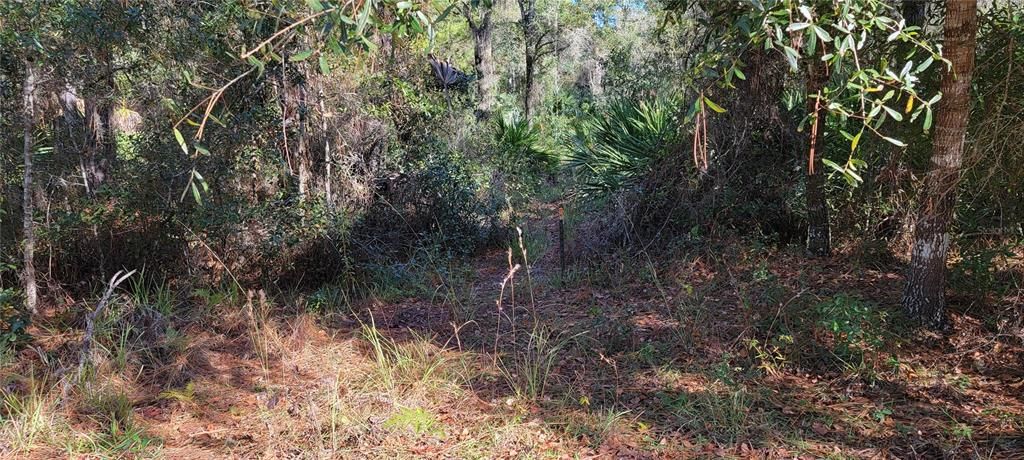 Recently Sold: $27,000 (1.01 acres)