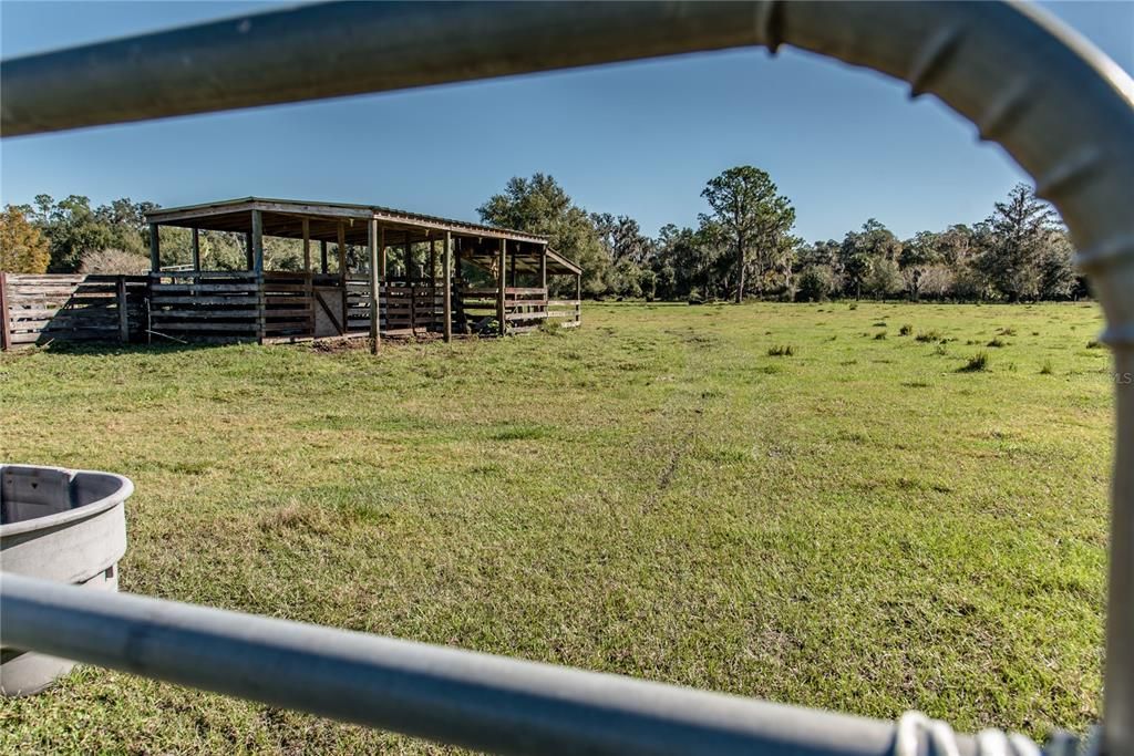 Vendido Recientemente: $360,000 (3 camas, 2 baños, 1260 Pies cuadrados)