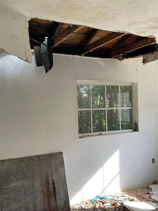 DAMAGED CEILING IN HOUSE