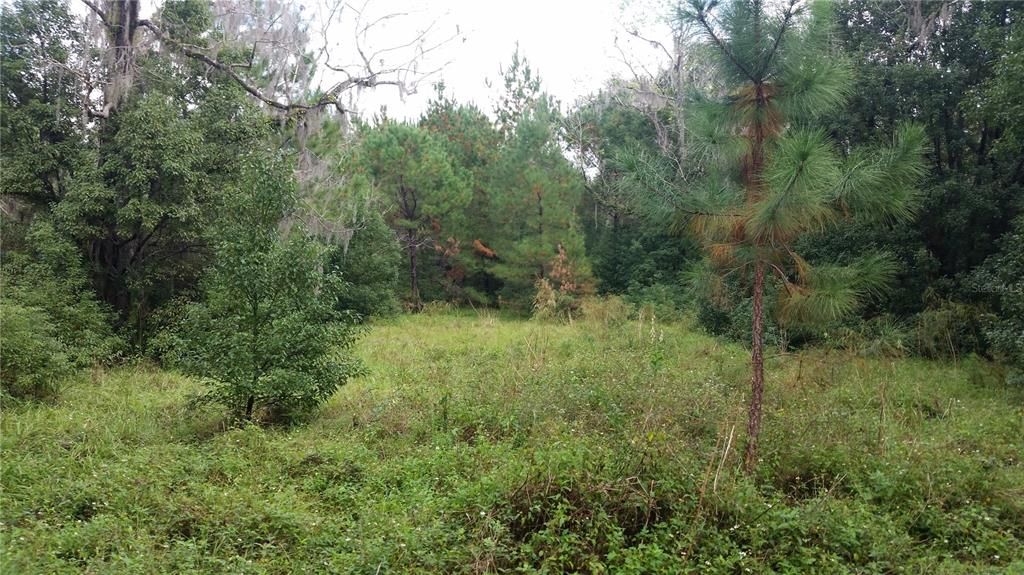 Recently Sold: $118,900 (17.06 acres)