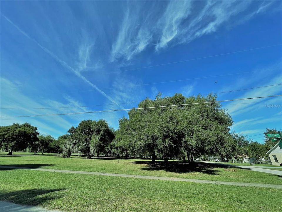 Vacant Land in the heart of Montverde - 3rd & 4th Street