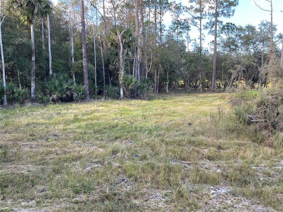 Recently Sold: $250,000 (10.01 acres)