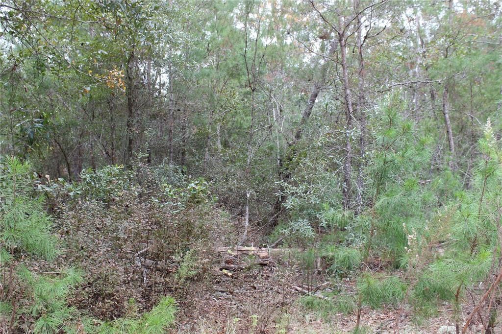 Recently Sold: $6,000 (0.22 acres)