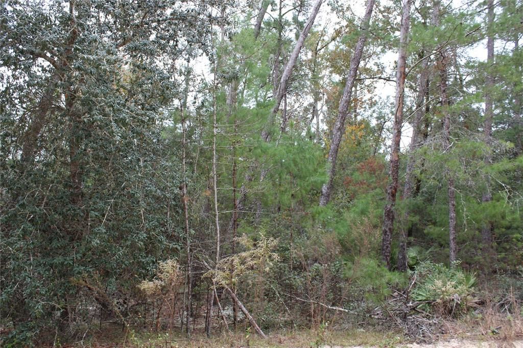 Recently Sold: $6,000 (0.22 acres)